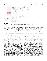 Bhagavan Medical Biochemistry 2001, page 469